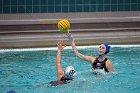 WWPolo vs CC  Wheaton College Women’s Water Polo vs Connecticut College. - Photo By: KEITH NORDSTROM : Wheaton, water polo